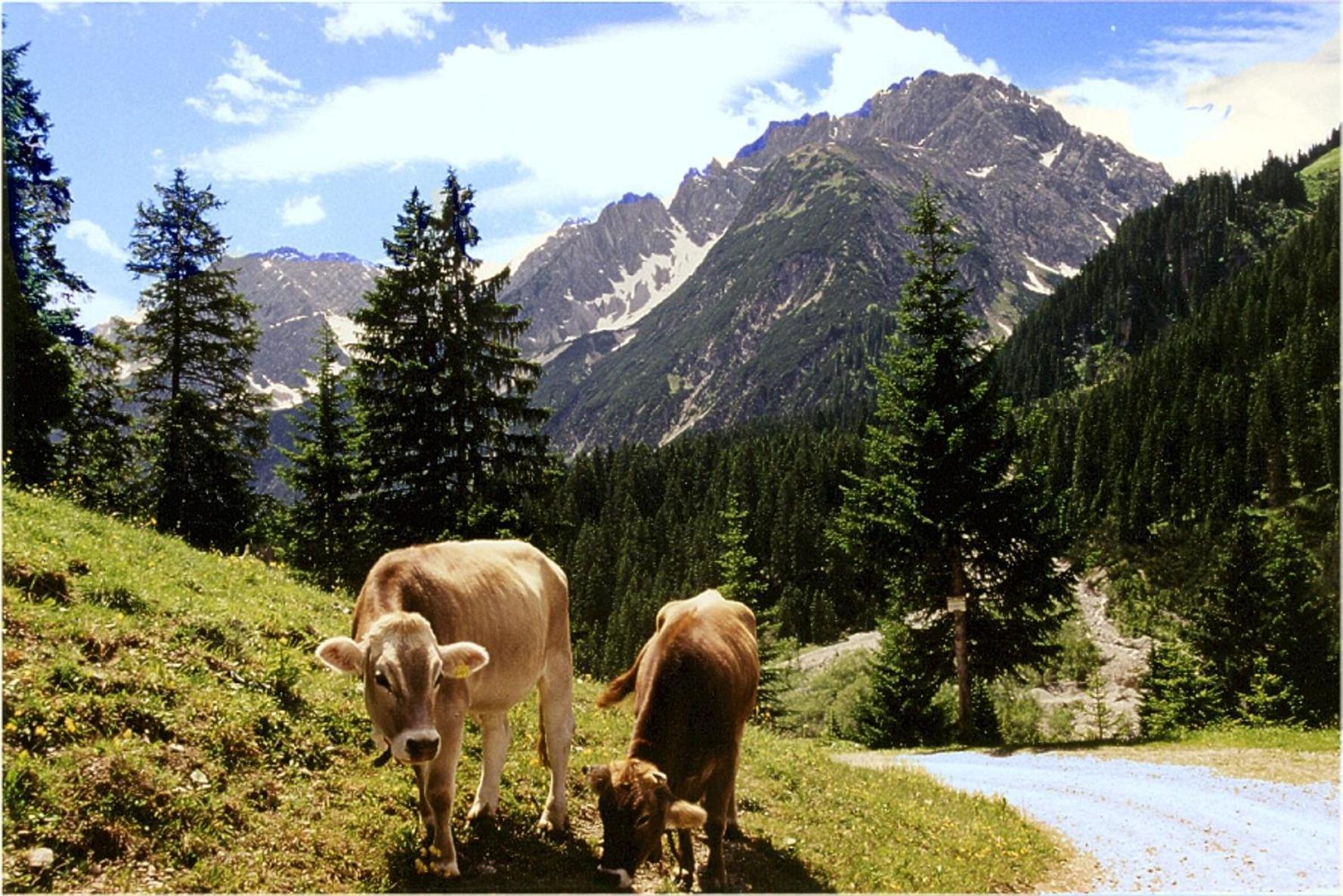 Gasthof Bergheimat Boden Dış mekan fotoğraf